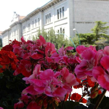 Luciano And Son Bed & Breakfast Campobasso Exterior foto