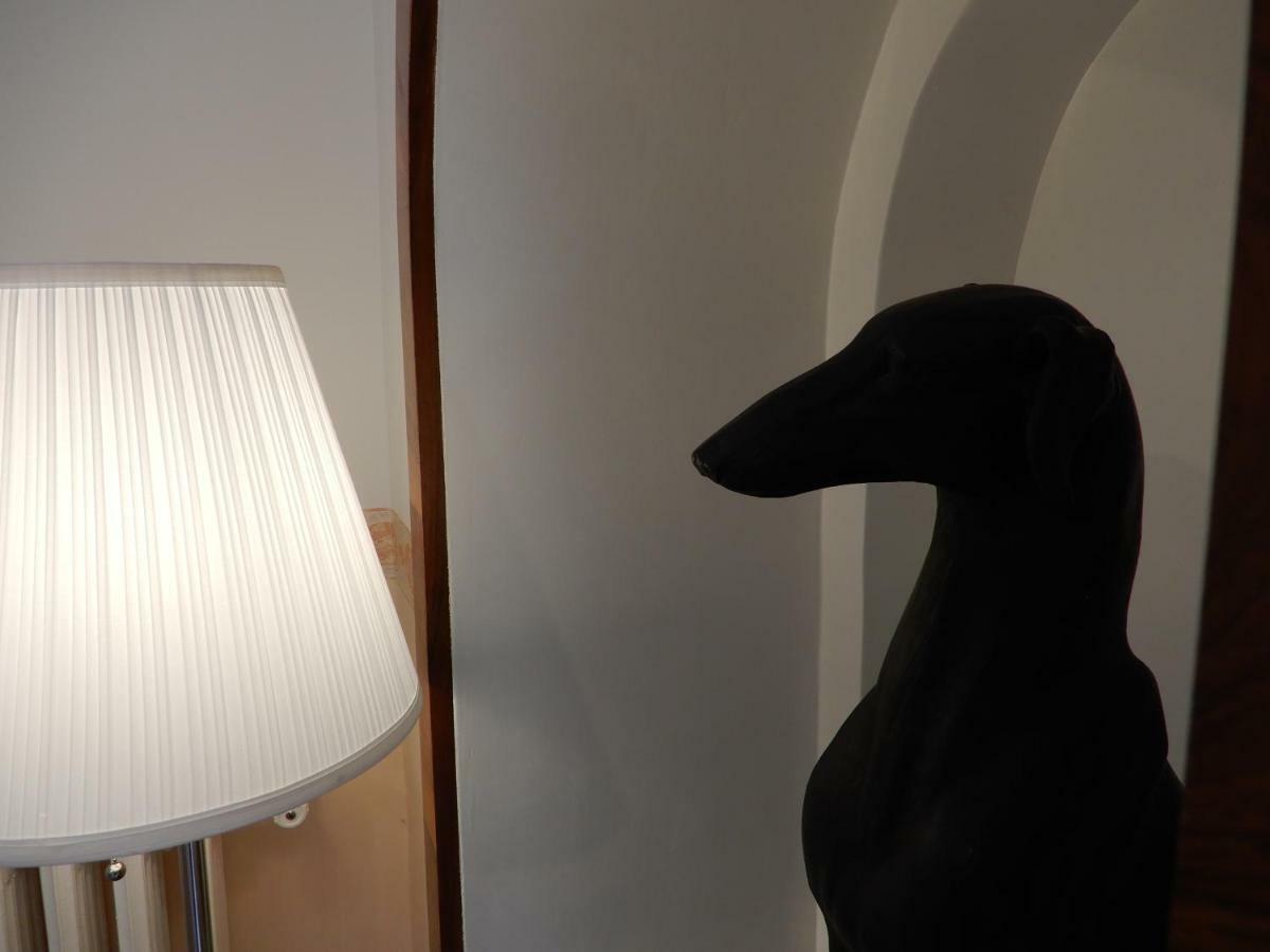 Luciano And Son Bed & Breakfast Campobasso Exterior foto